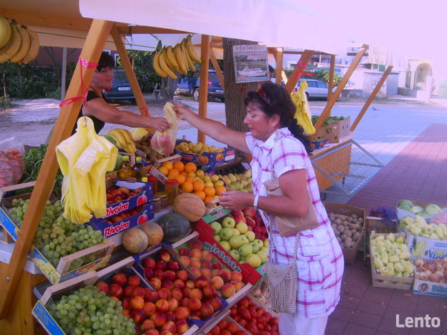 CHORWACJA SŁOWENIA hotel 4 dni HB bufety !! Pobyt 1190 zł