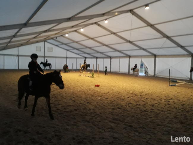 Hale namiotowe/ Produkcja/ Wynajem/Serwis