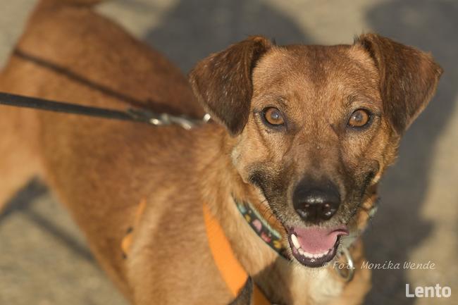 Mali i Majlo...Dwoje nierozłącznych przyjaciół.