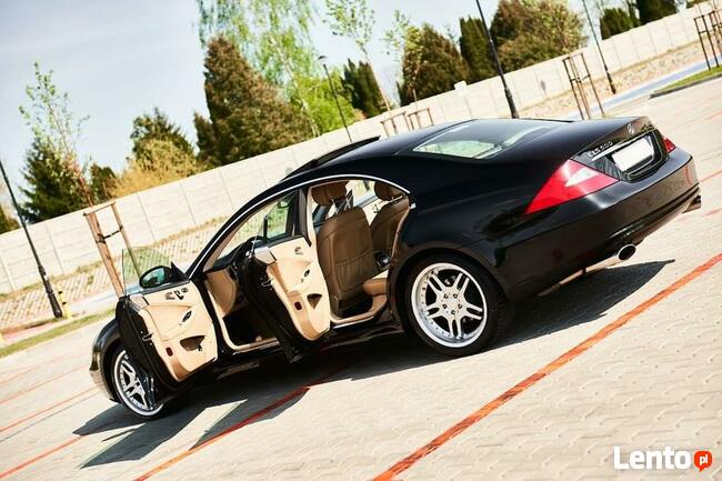 Profesjonalny transport eventowy