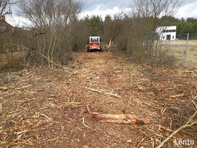 Mulczer wycinka drzew porządkowanie działek karczowanie
