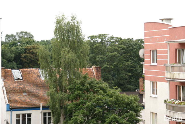 Wynajem Krasińskiego