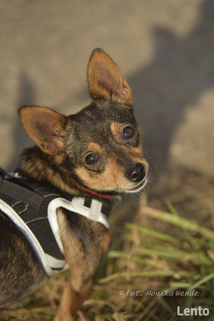Mali i Majlo...Dwoje nierozłącznych przyjaciół.