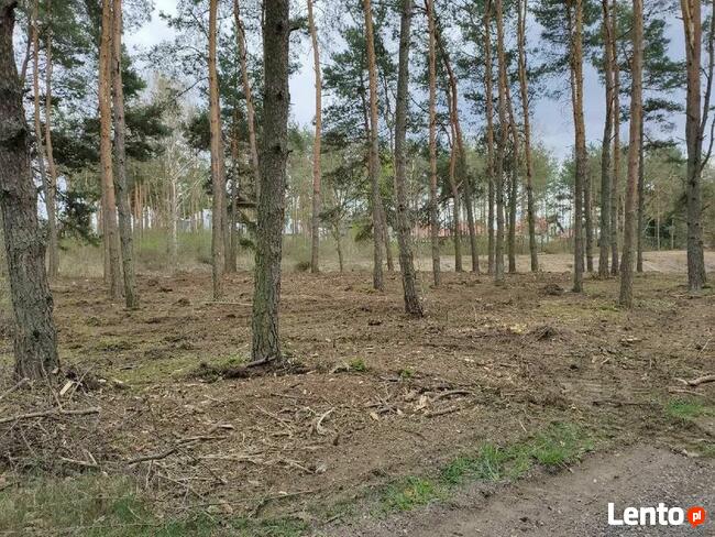 Mulczer wycinka drzew porządkowanie działek karczowanie