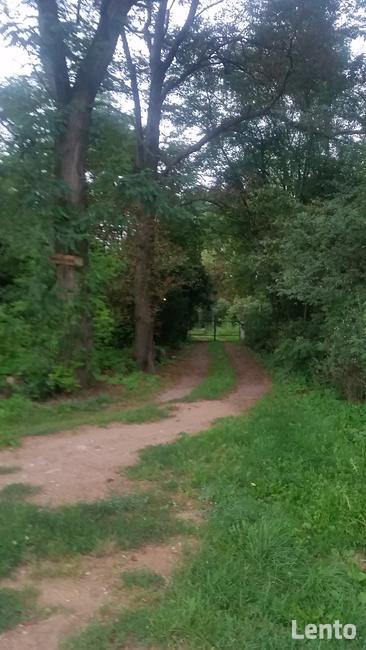 Malowniczo położona działka pod siedlisko lub rekreacje
