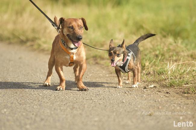Mali i Majlo...Dwoje nierozłącznych przyjaciół.