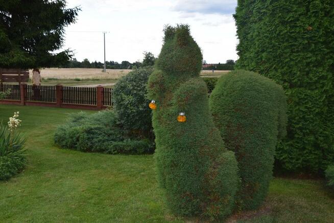 Agroturystyka RANCZO w Jabłonce, noclegi na Mazurach