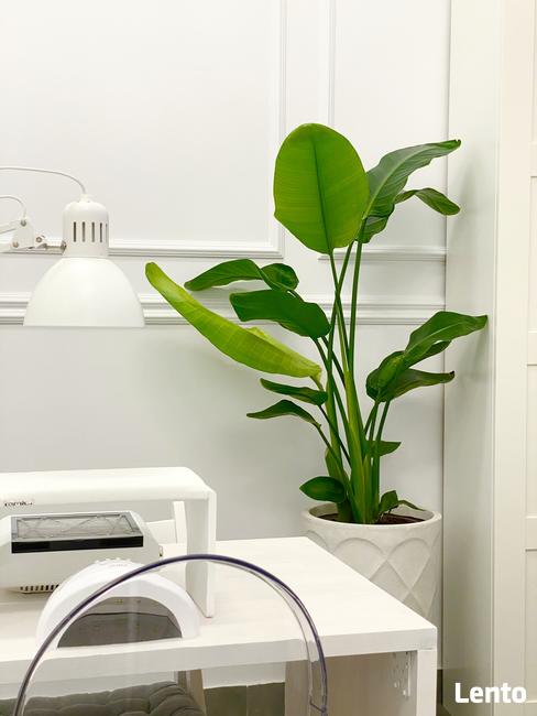 Paznokcie Kraków - CHIC Nails - Manicure, Pedicure, Przedłuż