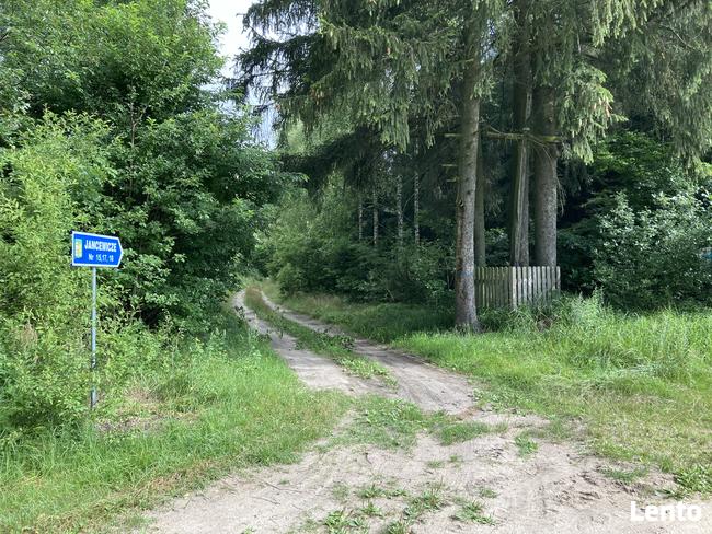 Działka rolna siedliskowa budowlano-rolna na polanie