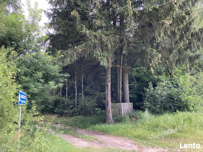 Działka rolna siedliskowa budowlano-rolna na polanie