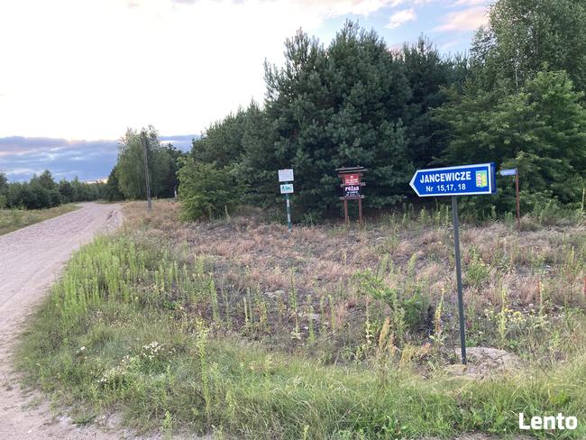 Działka rolna siedliskowa budowlano-rolna na polanie