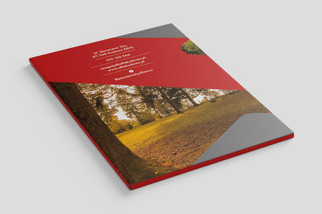 DSN studio graficzne - projekty logo, sklep strona www