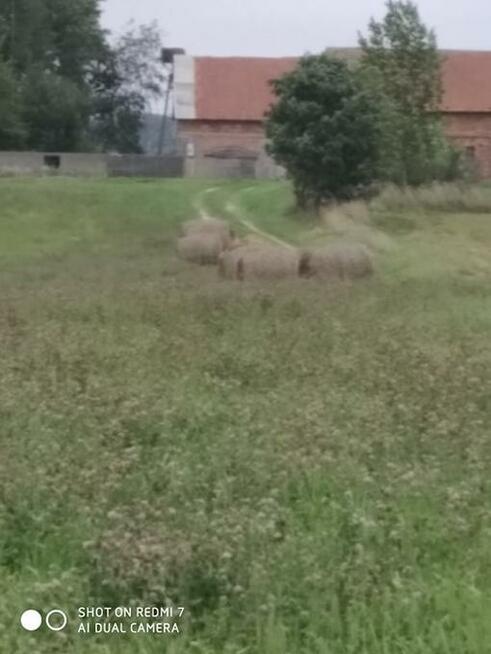 siedlisko gospodarstwo