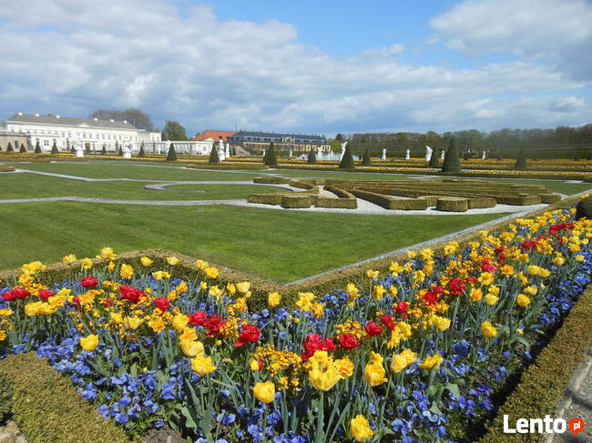 HOLANDIA 22-26.04.2026 Wiatraki Sery Rowery 5 dni atrakcji