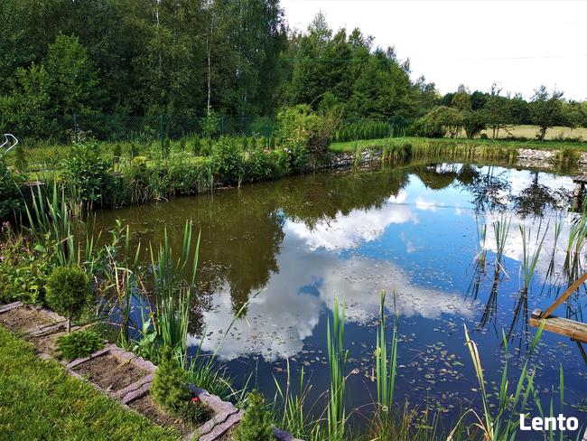 Domek nad stawem na Kaszubach