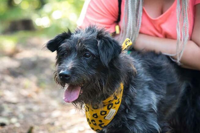 Puzon codziennie prosi o dom! Adoptuj!