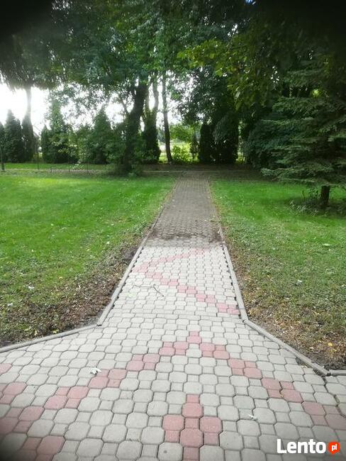 Mycie Kostki/ Mycie Dachów/Mycie Ogrodzeń