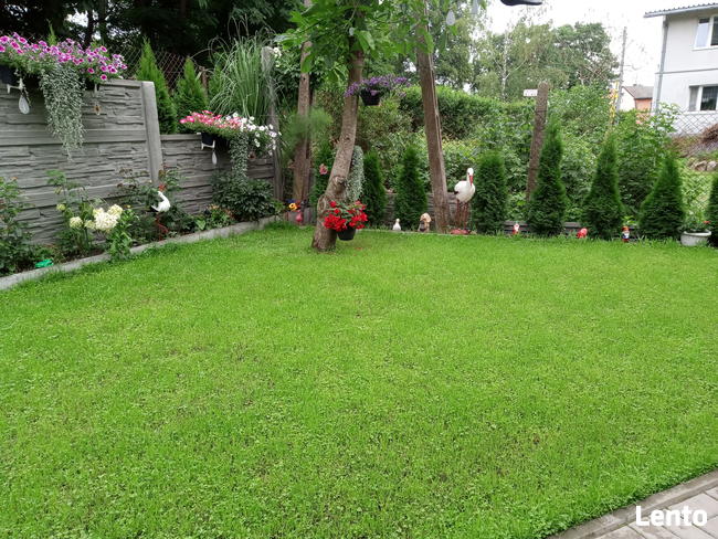 URLOP NAD MORZEM W STEGNIE