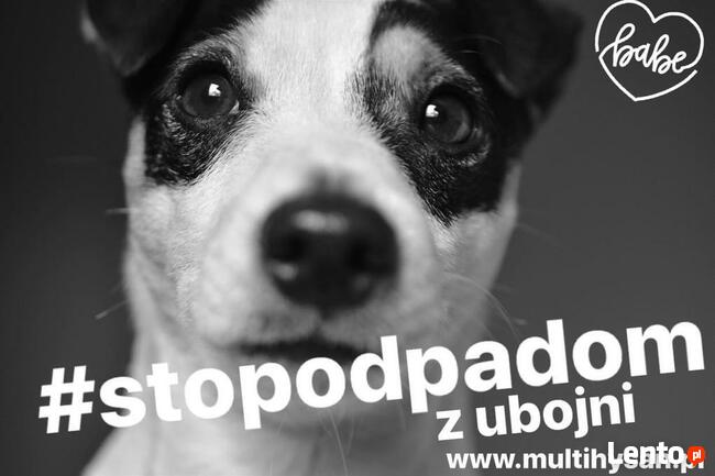 Oryginalne produkty od Reico Vital Niemcy