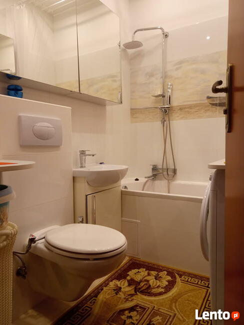 WYPOCZYNEK NAD MORZEM W STEGNIE - MAJ - WRZESIEŃ - WOLNE