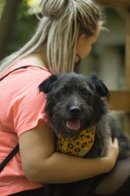 Puzon codziennie prosi o dom! Adoptuj!