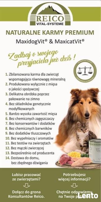 Oryginalne produkty od Reico Vital Niemcy