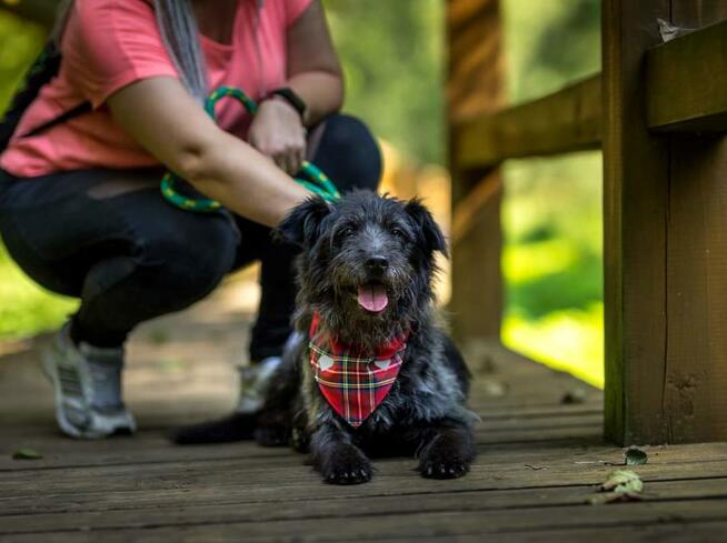 Puzon codziennie prosi o dom! Adoptuj!