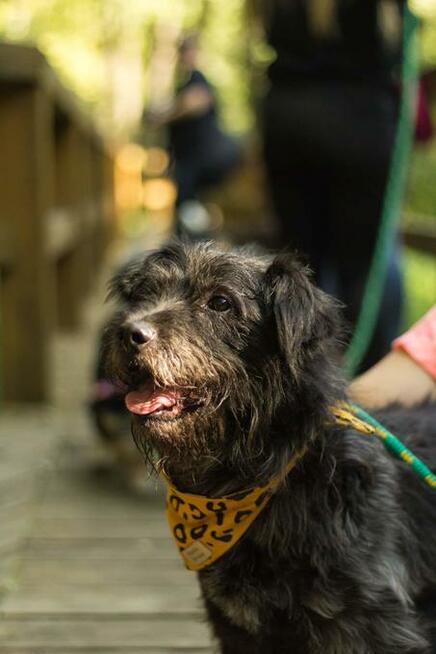 Puzon codziennie prosi o dom! Adoptuj!