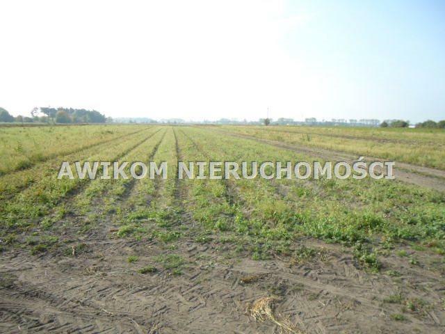 Działka budowlana Grodzisk Mazowiecki Chlebnia