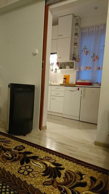 WYPOCZYNEK NAD MORZEM W STEGNIE - MAJ - WRZESIEŃ - WOLNE