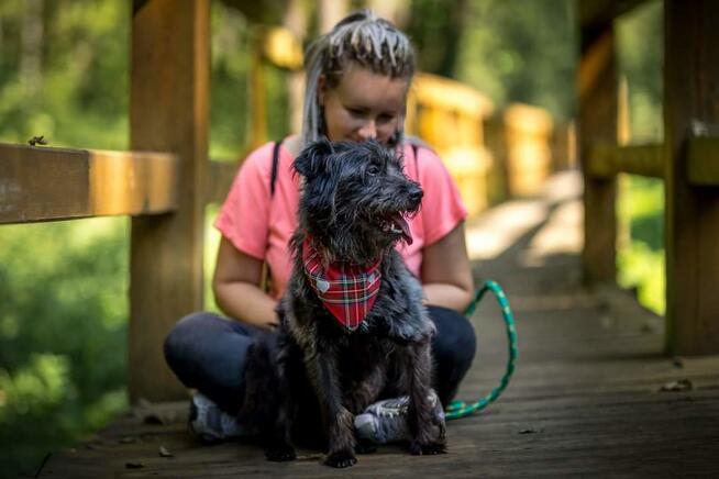 Puzon codziennie prosi o dom! Adoptuj!