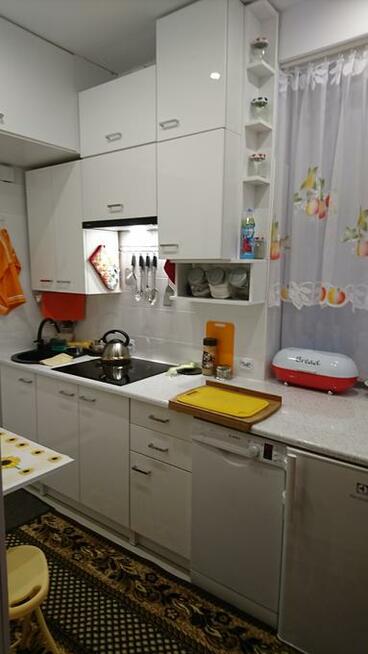 WYPOCZYNEK NAD MORZEM W STEGNIE - MAJ - WRZESIEŃ - WOLNE