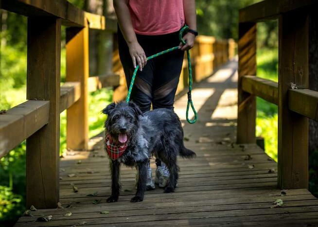 Puzon codziennie prosi o dom! Adoptuj!