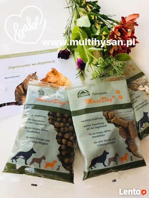 Oryginalne produkty od Reico Vital Niemcy