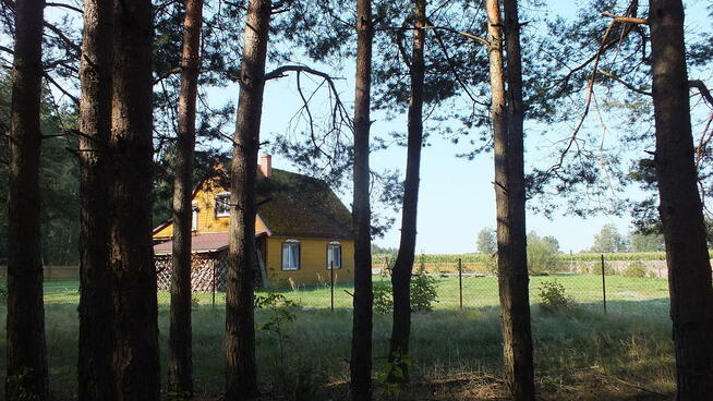 Turystyka aktywna - kajaki, rowery, GRZYBOBRANIE
