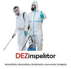 Pluskwy, karaczany inne szkodniki. Likwidacja