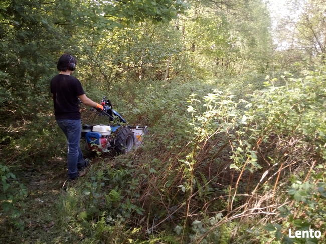 Czyszczenie działek z zarosli drzew korzeni rekultywacja