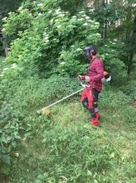 Czyszczenie działek z zarosli drzew korzeni rekultywacja