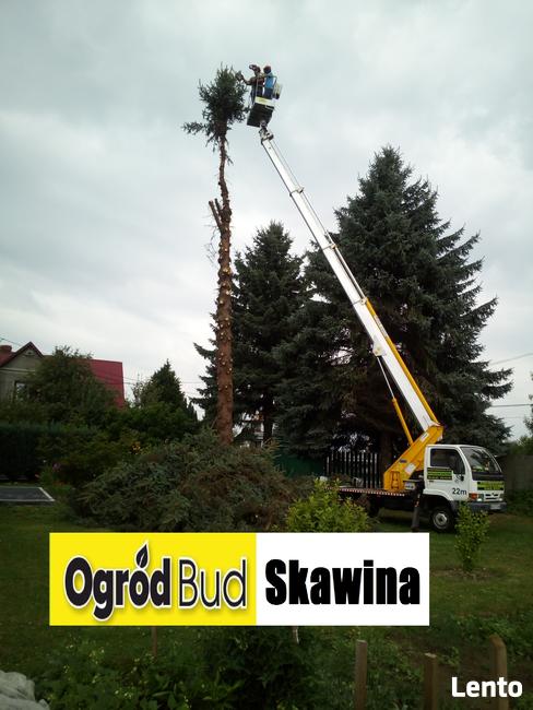 Czyszczenie działek z zarosli drzew korzeni rekultywacja