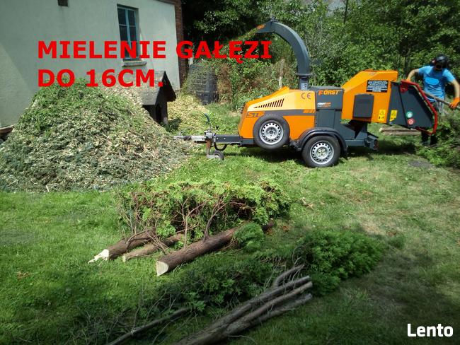 Czyszczenie działek z zarosli drzew korzeni rekultywacja