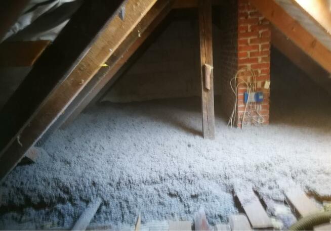 Wdmuchiwanie celulozy wełny naprawa izolacji po kunie
