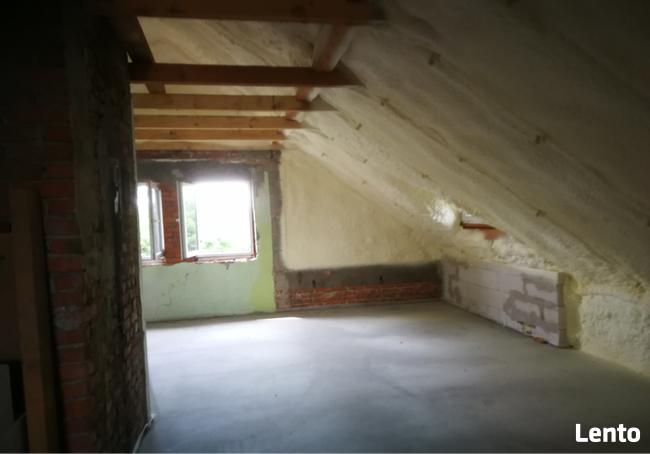 Zwalczanie kuny domowej Naprawa izolacji po kunach celuloza