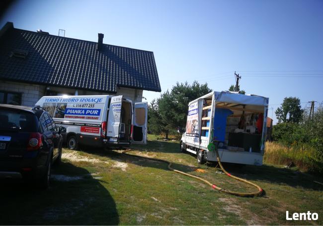 Zwalczanie kuny domowej Naprawa izolacji po kunach celuloza