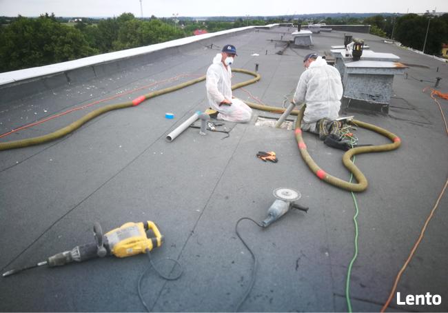 Zwalczanie kuny domowej Naprawa izolacji po kunach celuloza