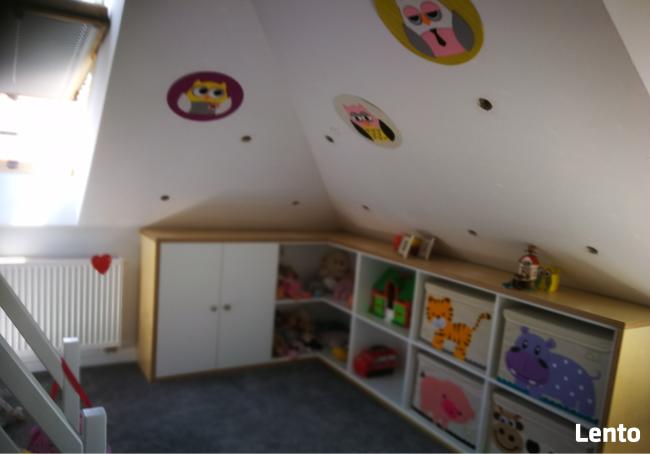 Zwalczanie kuny domowej Naprawa izolacji po kunach celuloza