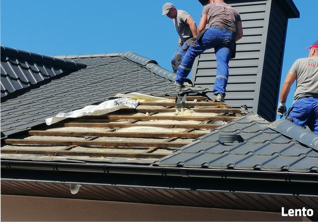 Zwalczanie kuny domowej Naprawa izolacji po kunach celuloza