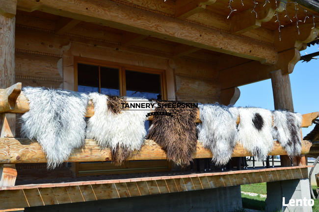 Skóra Owcza-Skóry Owcze Kolory Naturalne Kręcony Włos Island