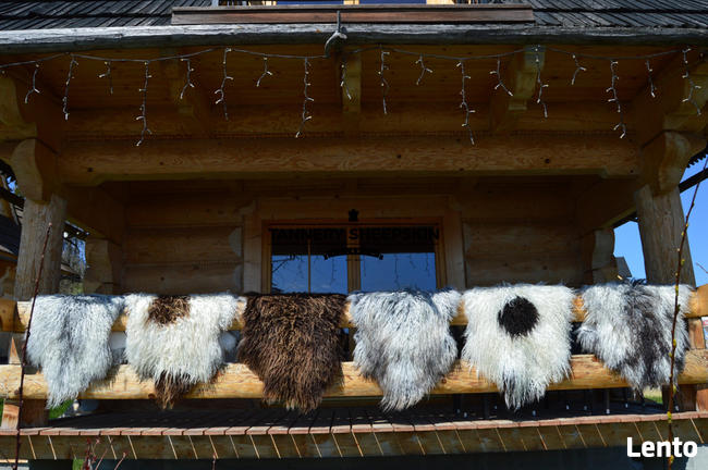 Skóra Owcza-Skóry Owcze Kolory Naturalne Kręcony Włos Island