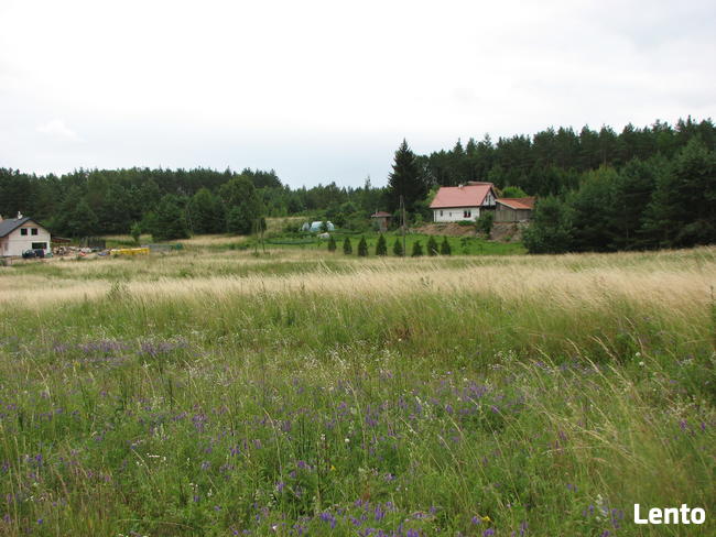 Działka budowlana 758 m2 - Łapka k/Barczewa