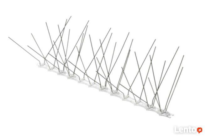 KOLCE NA PTAKI PRZECIWKO GOŁĘBION DO OGRODU NA PARAPET GĘSTE